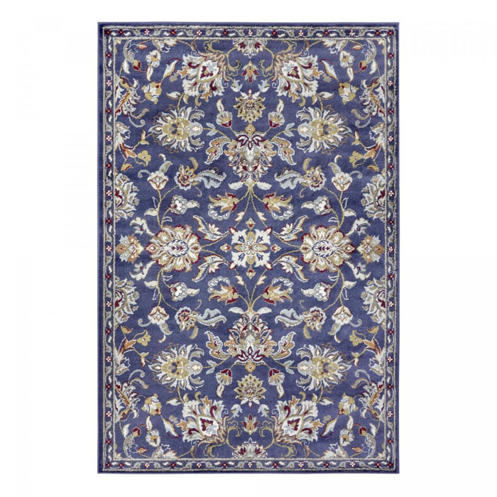 Tapis salon Rectangulaire Oriental