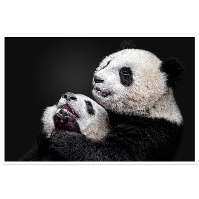 Affiche enfant pandas  Affiche seule