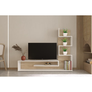 Conjunto Mueble De Salon Para Tv Con Estanteria