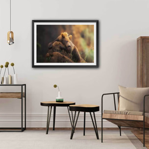 Affiche portrait d'ours Affiche seule