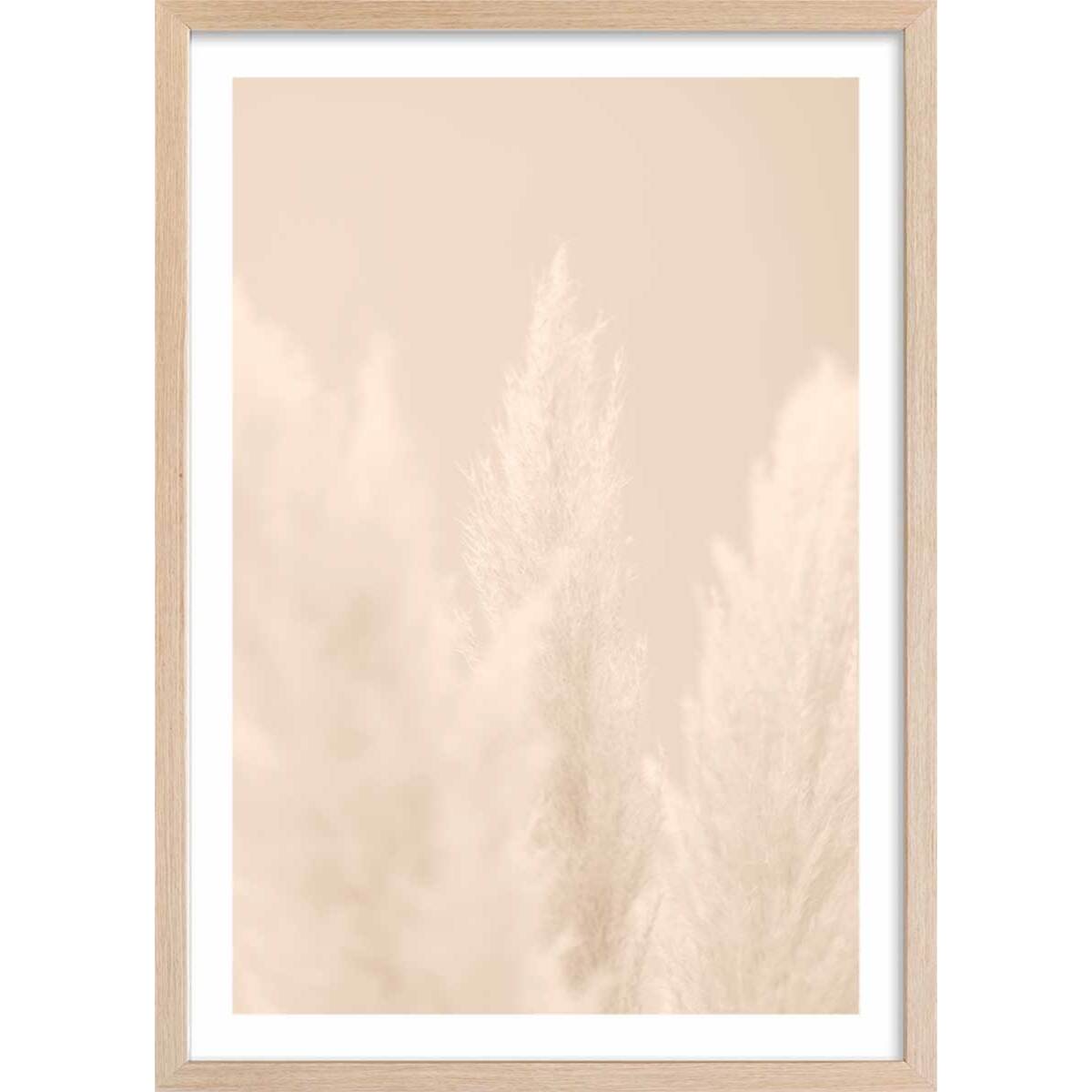 Affiche  scandi  de roseaux Affiche + cadre en bois - Chêne