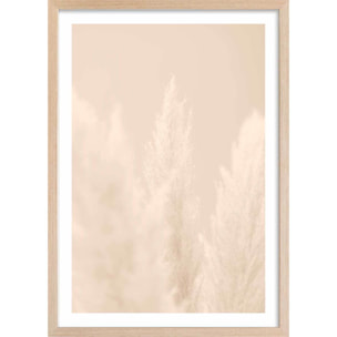 Affiche  scandi  de roseaux Affiche + cadre en bois - Chêne