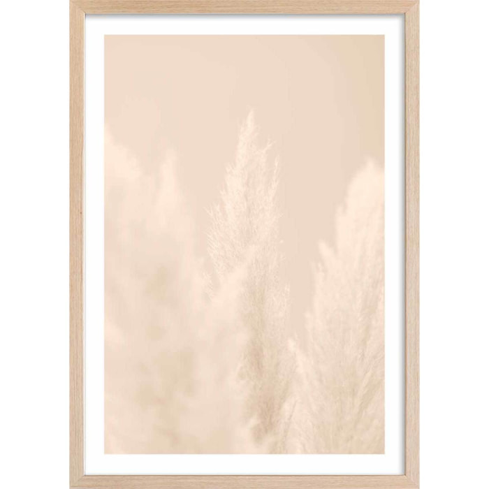 Affiche  scandi  de roseaux Affiche + cadre en bois - Chêne