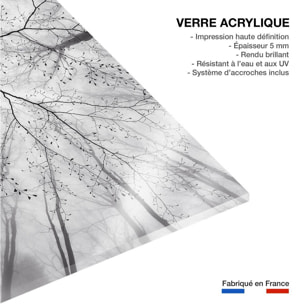 Tableau nature canopée Tableau plexiglas