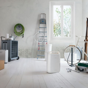 Deshumidificateur DELONGHI DEX210SF