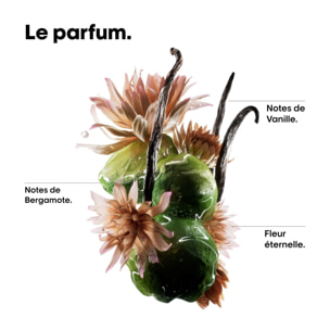 Absolut Repair Molecular - Huile Bi-Phase Réparatrice