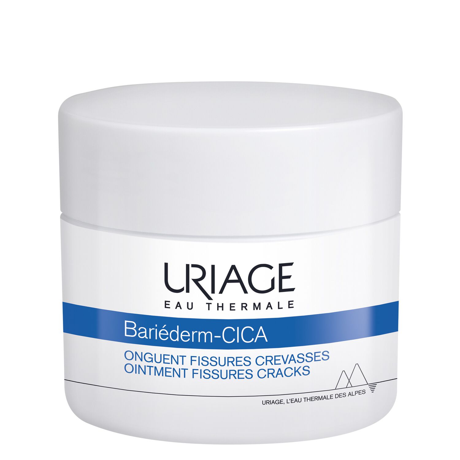 Bariéderm - Onguent Fissures et Crevasses - Isolant & Réparateur 40 ml