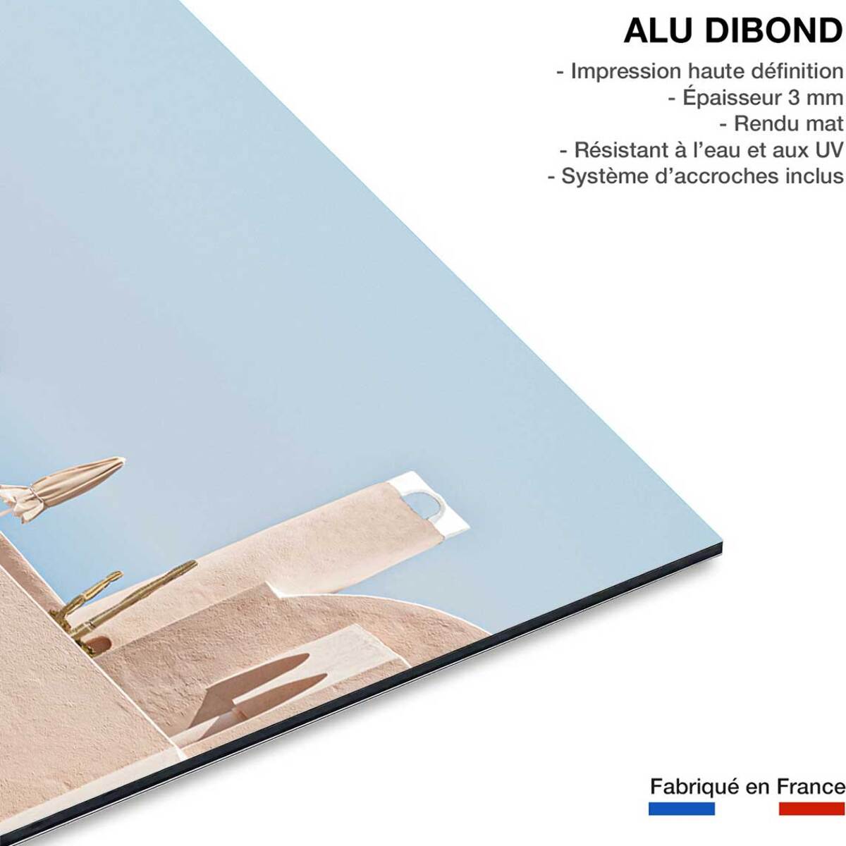 Tableau agave au bord de mer Tableau alu Dibond