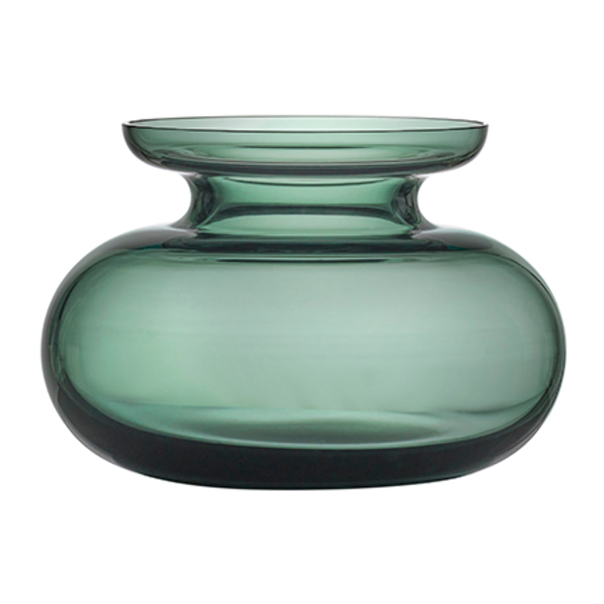 Vase Inu