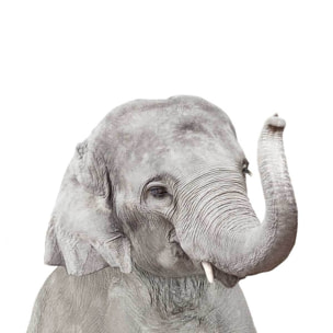 Affiche enfant bébé élephant  Affiche + cadre en bois - Noir