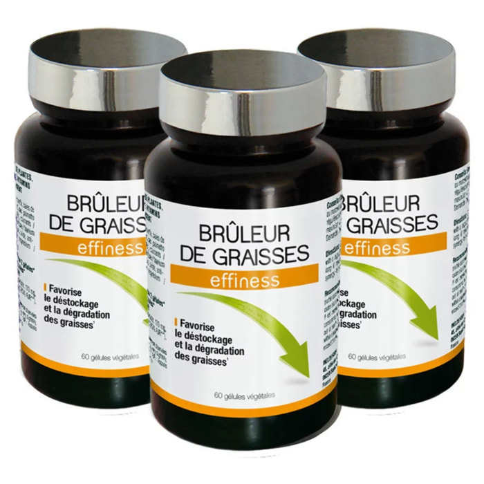 NUTRIEXPERT - Effiness Brûleur de Graisses - Déstocke Et Dégrade Les Graisses - Aide Minceur Et Perte De Poids - Formule Renforcée - Guarana Maté Thé Vert Chrome Choline - Lot de 3 produits