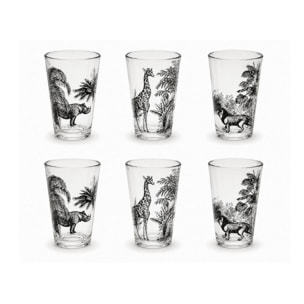 Lot de 6 verres, SAVANA