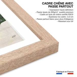 Poster Sanseveria aquarelle Affiche + cadre en bois - Chêne