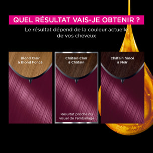 Garnier Olia Coloration 4.26 Violine Profond