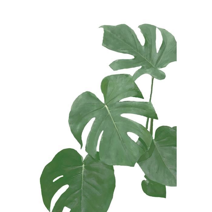 Tableau Feuilles de Monstera Toile imprimée