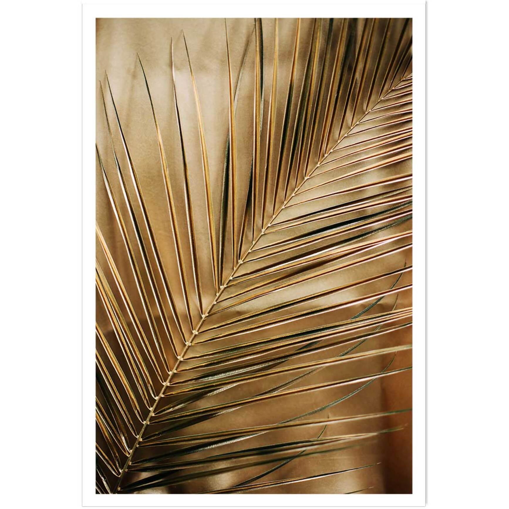 Affiche deco golden palm Affiche seule