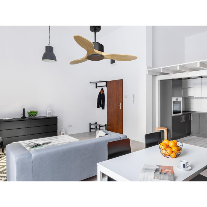 Ventilateur de plafond ø106 cm avec Wifi Réversible Hypersilence 40   W Noir