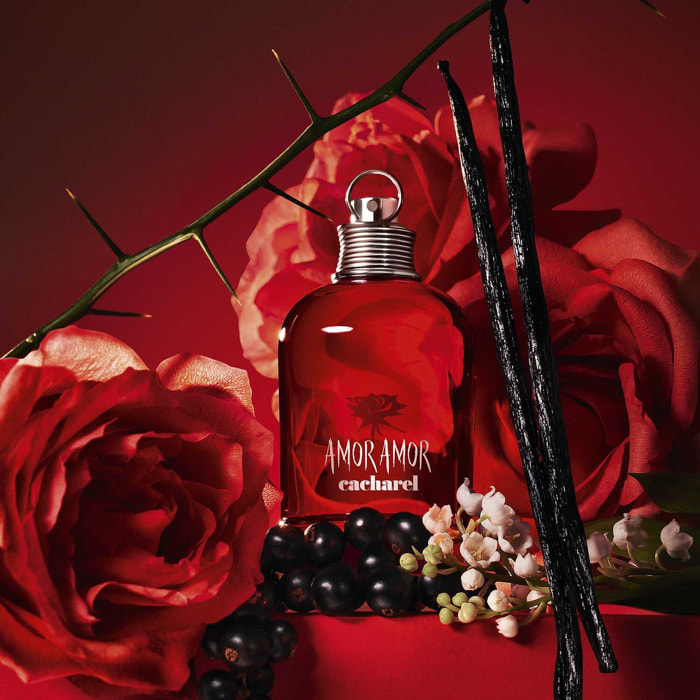 Amor Amor - Coffret Eau de Toilette 50 ml et Laits Corps 2x50ml
