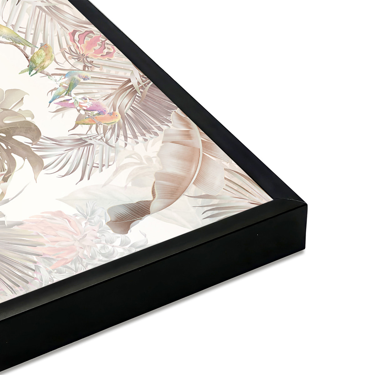 Affiche encadrée jungle tropicale oiseaux Affiche + cadre en métal - Noir