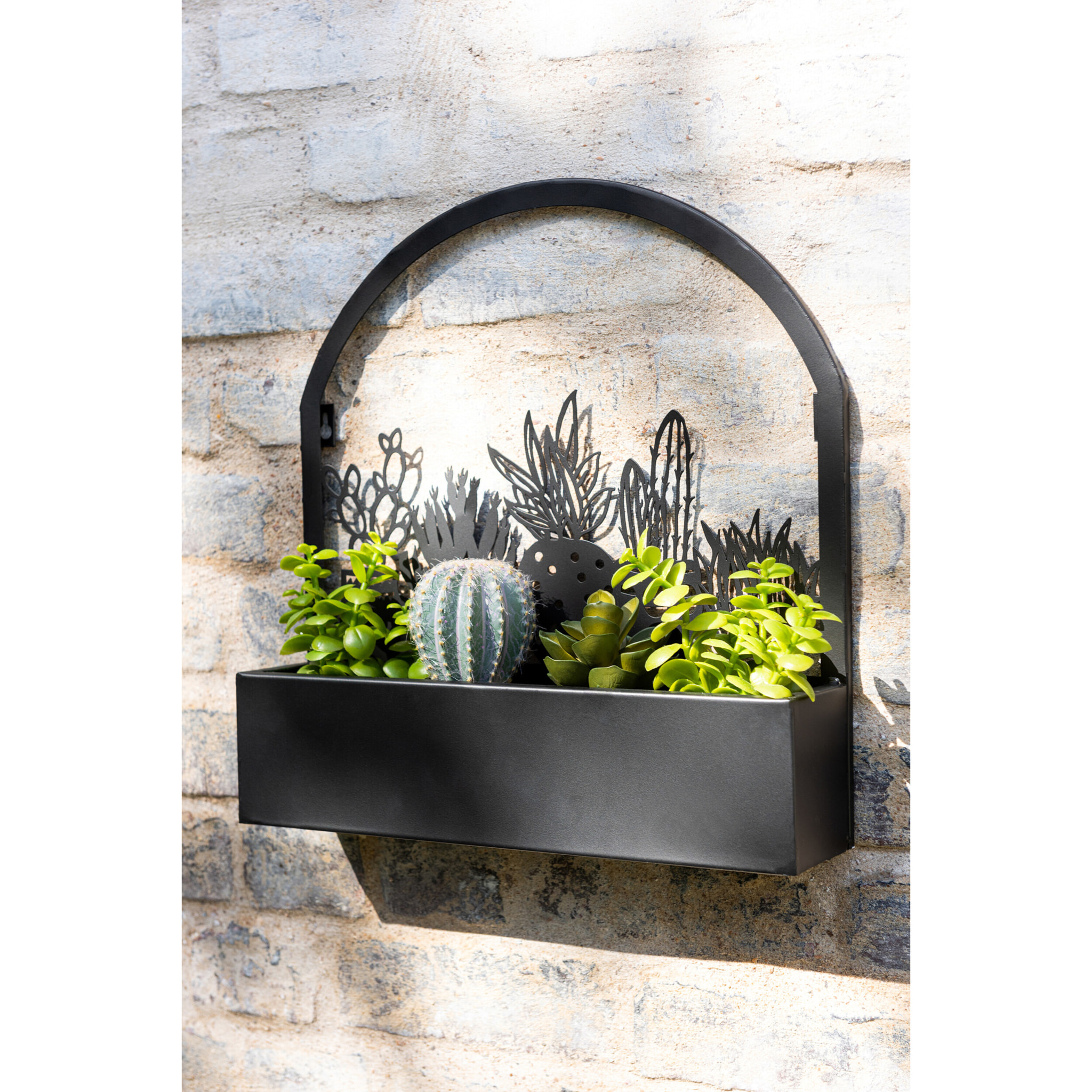 J-Line cache-pot murale Cactus - métal - noir - Ø 7.5 cm