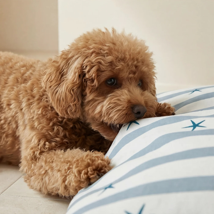 Housse antitaches pour lit pour animal Boni