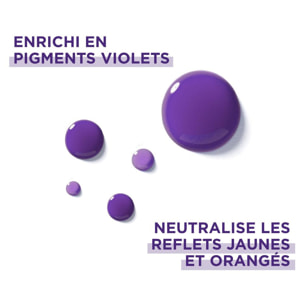 Lot de 12 - Shampooing Violet Déjaunisseur Color-Vive Elsève 200ml