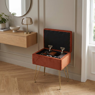 Panca Contenitore in Effetto Velluto con Seduta Imbottita e Vano Portaoggetti, Design Moderno con Gambe in Acciaio per Ingresso, Camera da Letto e Soggiorno