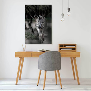 Tableau animaux zèbre en balade Tableau alu Dibond