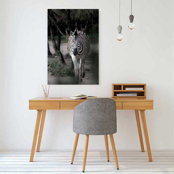 Tableau animaux zèbre en balade Tableau alu Dibond