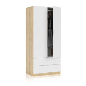 Armario Lark 2 Puertas 2 Cajones Blanco Artik (Blanco Mate) - Roble Canadian