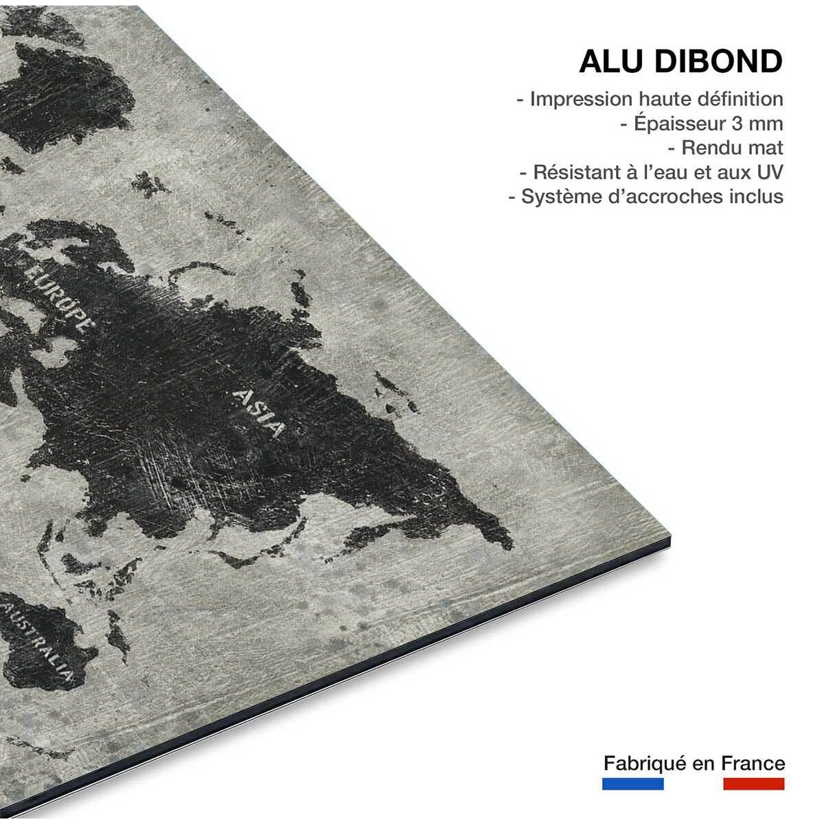 Tableau Carte du monde punky Tableau alu Dibond