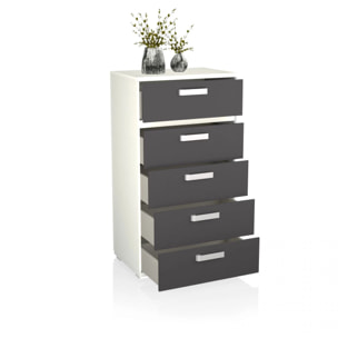 Sinfonier de 5 cajones en blanco y grafito 60x109,4cm Ataneq Blanco - Grafito