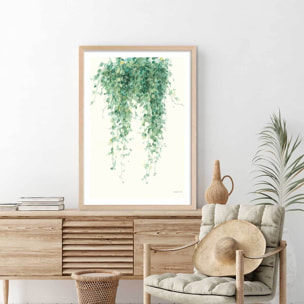 Affiche plante succulente illustrée Affiche + cadre en bois - Chêne