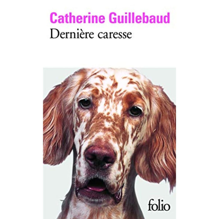 Guillebaud, Catherine | Dernière caresse | Livre d'occasion