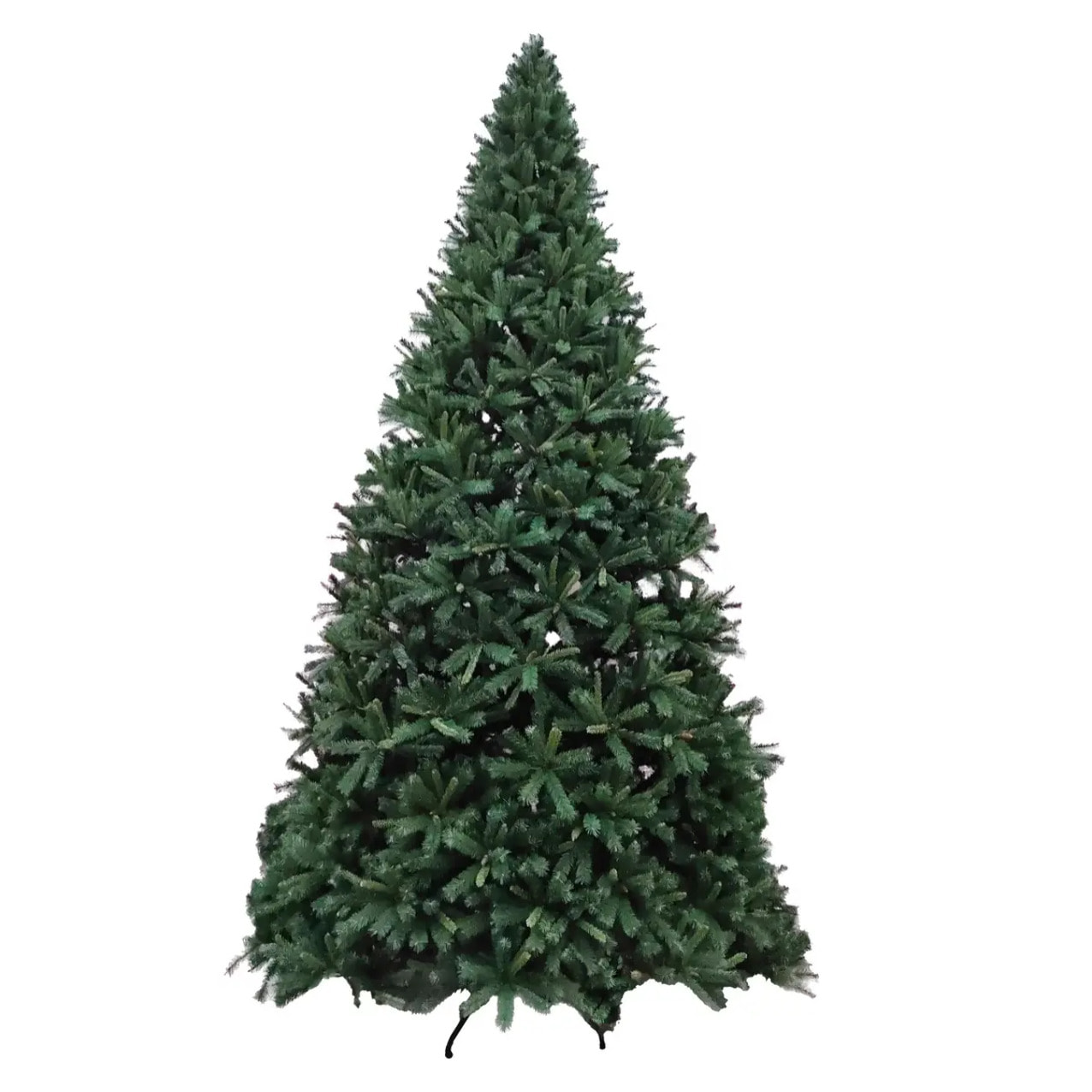 Sapin Royal majestic 600cm