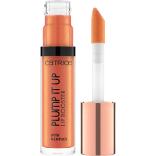 Plump It Up Lip Booster - Gloss Effet Repulpant Fini Ultra-brillant