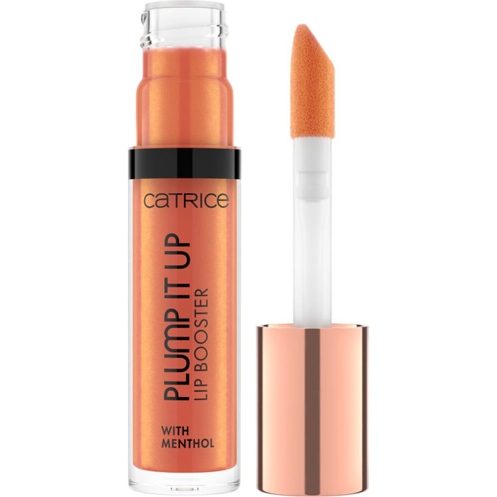 Plump It Up Lip Booster - Gloss Effet Repulpant Fini Ultra-brillant