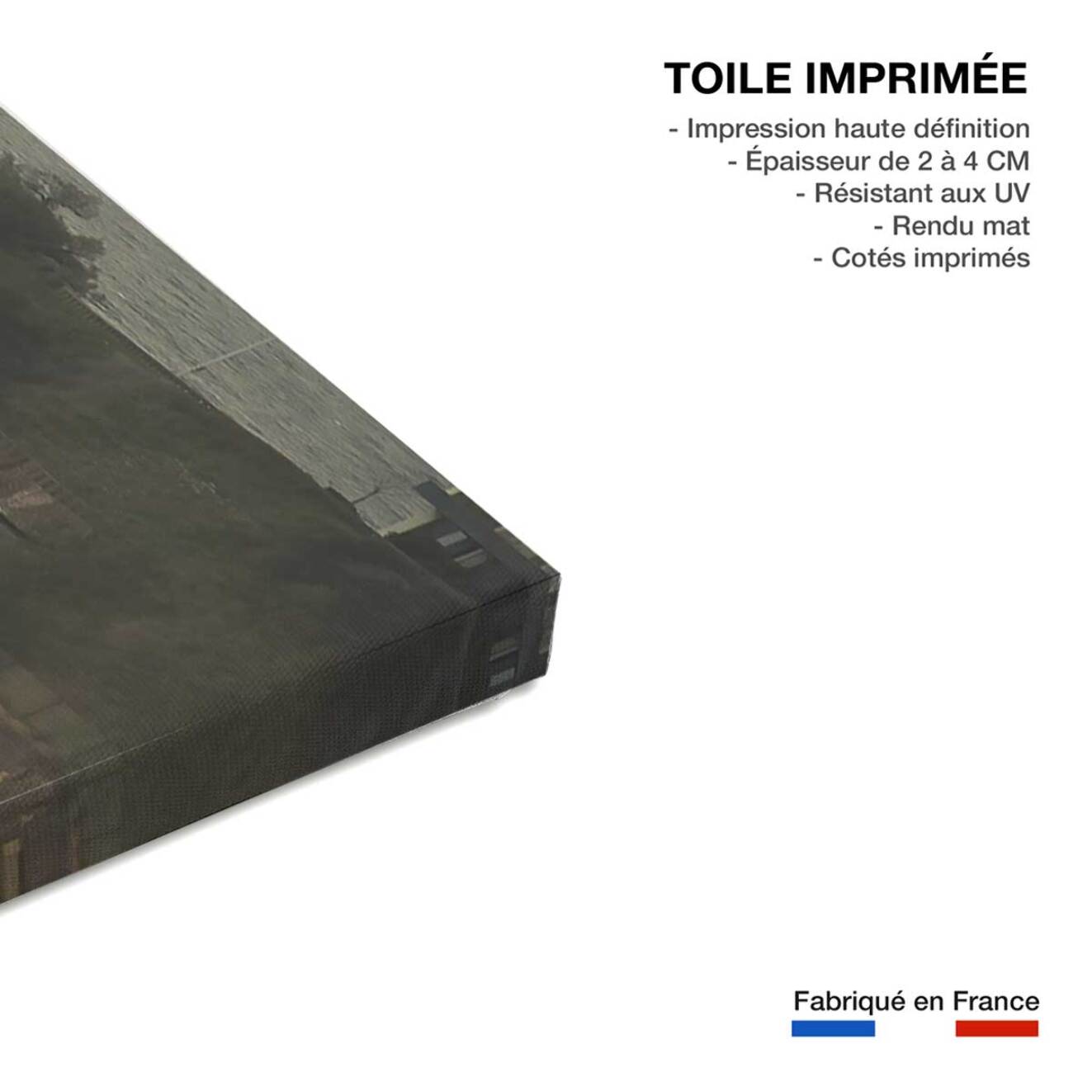 Tableau paysage ocean biarritz et la villa belza  Toile imprimée