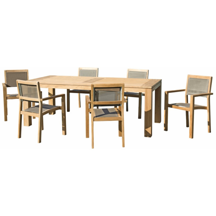 KIM - Lot garden n°137 KIM ce lot comprend :