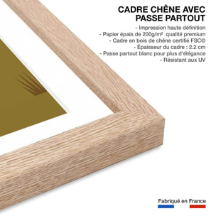 Affiche Mont Saint Michel Affiche sous cadre bois