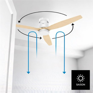 Ventilateur plafonnier TAURUS POLAR 3B