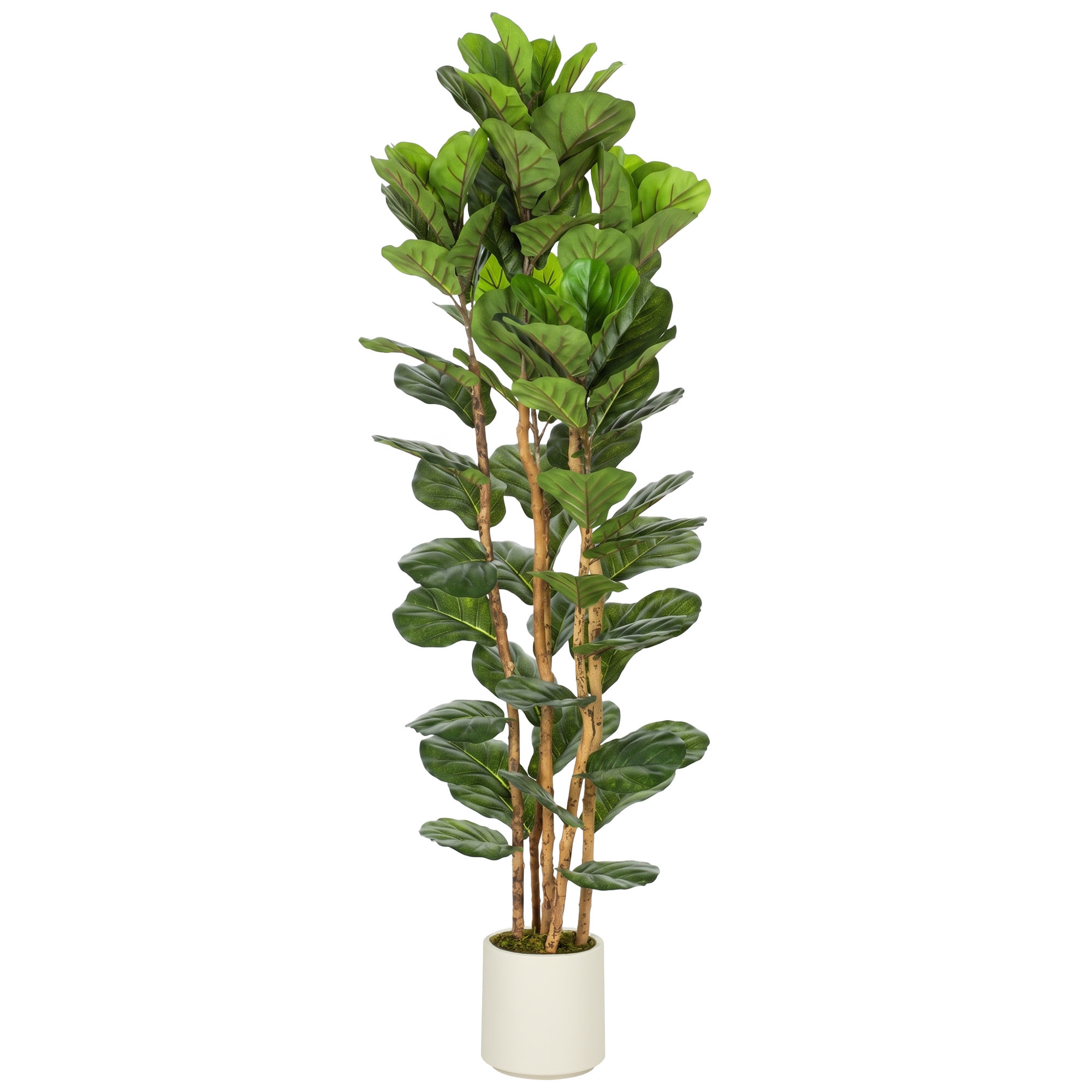 Arbre artificiel plante artificiel figuier lyre H.1,8 m vrais troncs 91 feuilles grand réalisme