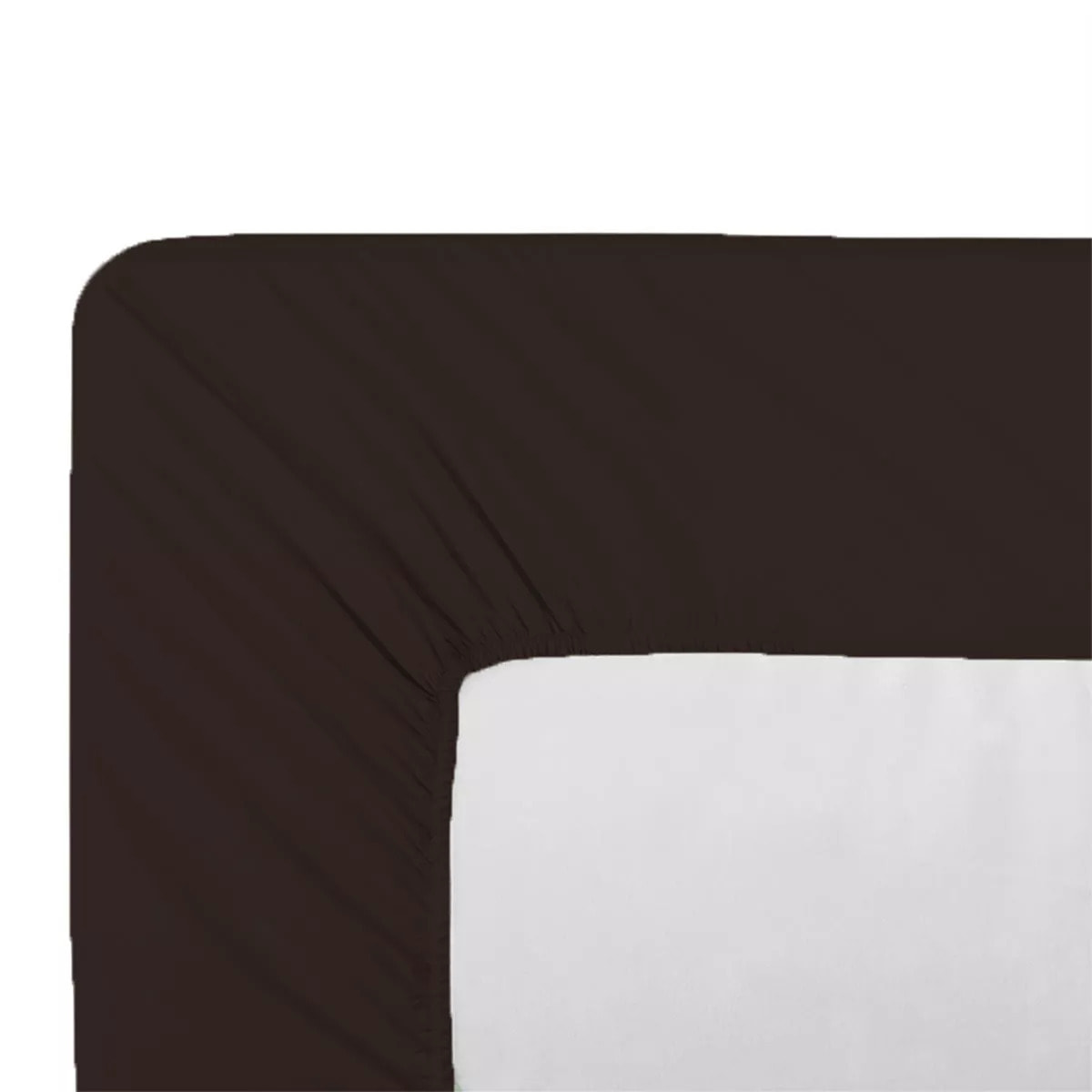 Drap housse b35 percale de coton uni chocolat Giulia chocolat