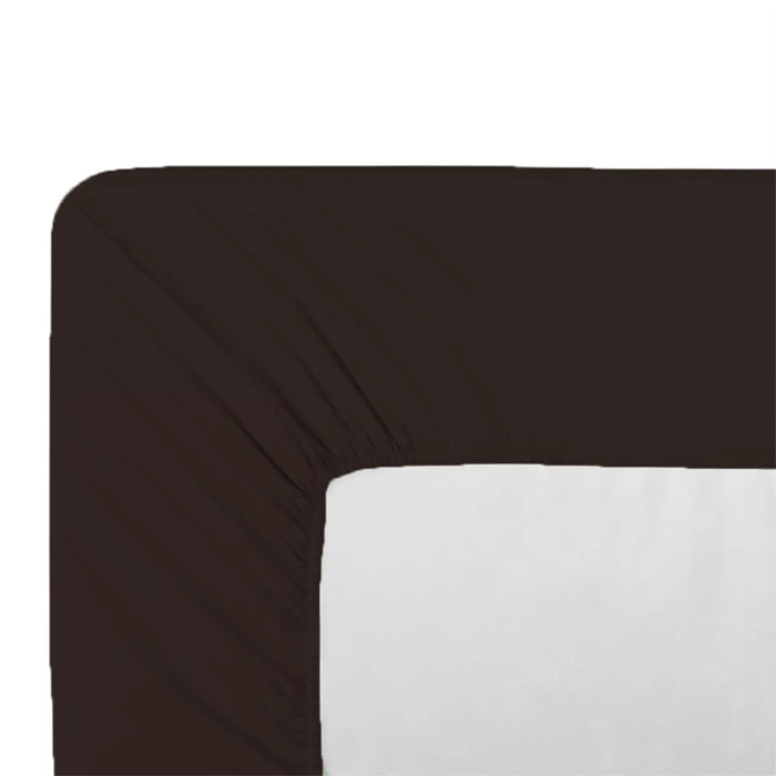 Drap housse b35 percale de coton uni chocolat Giulia chocolat
