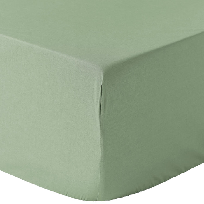 Drap housse percale de coton -bonnet 30cm-uni sauge