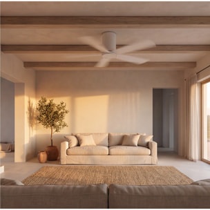 Forlight Ventilador IP20 Rodas Blanco brillante Blanco