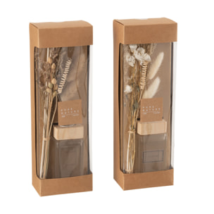 J-Line Bâtonnets parfumés + fleurs - verre - naturel - 2 pcs