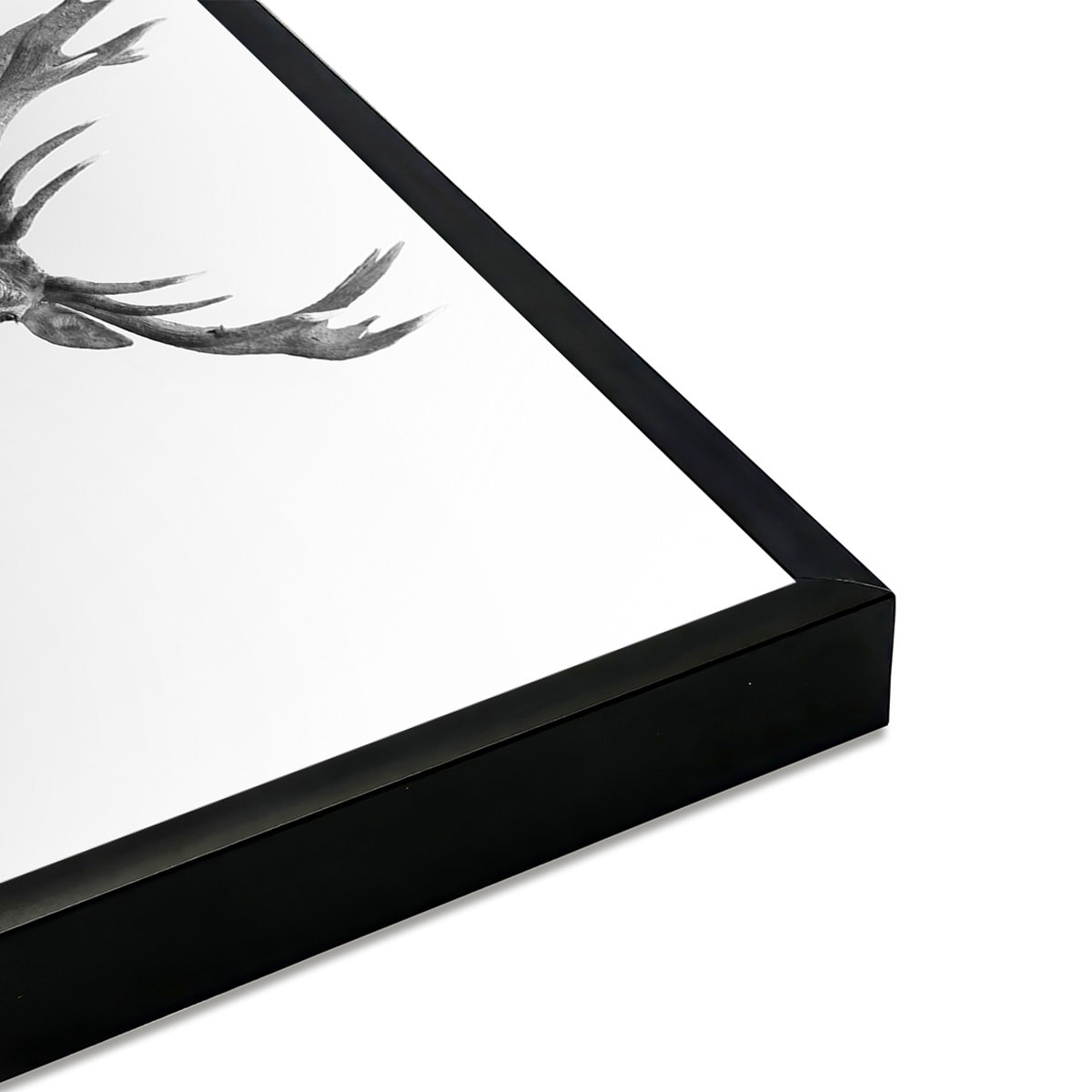 Affiche encadrée cerf en noir et blanc dans la brume Affiche + cadre en métal - Noir