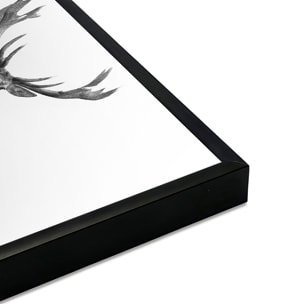 Affiche encadrée cerf en noir et blanc dans la brume Affiche + cadre en métal - Noir