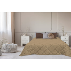 TRAPUNTA INVERNALE VELLUTO LETTO MATRIMONIALE "LE CANNETè" BEIGE CHIARO PRODOTTO ITALIANO 350 GR/MQ